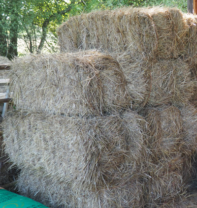 straw